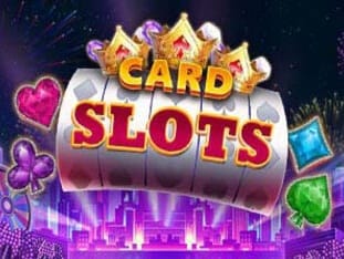 Card Slots icon